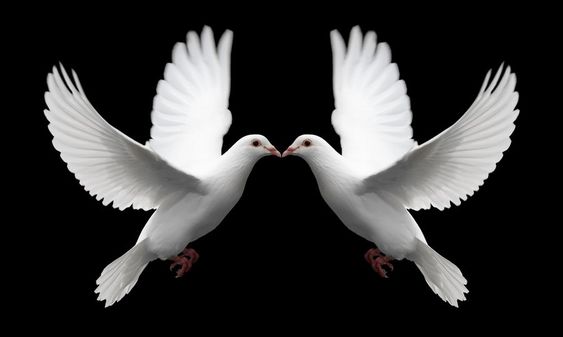 You are currently viewing The Necessity Of His Power – IV