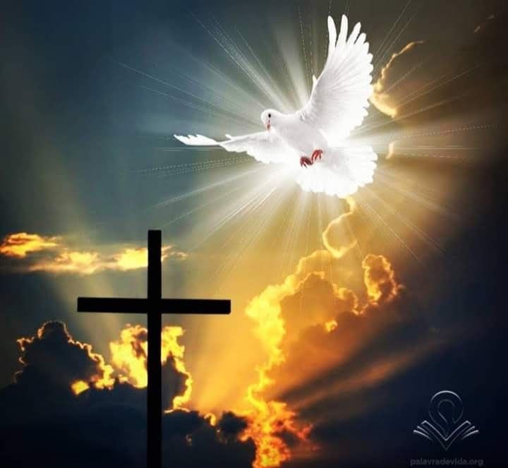 You are currently viewing Getting Thirsty for His Presence